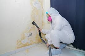 New Franklin, MO Mold Removal Company